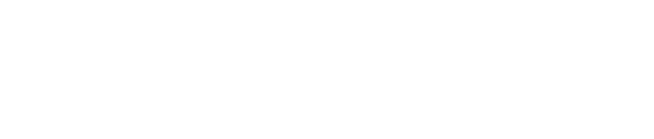 Taohoo Logo White